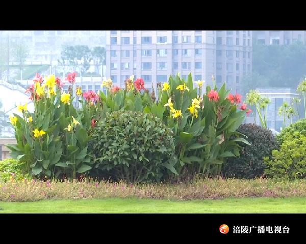 涪陵秋景：万紫千红染秋色