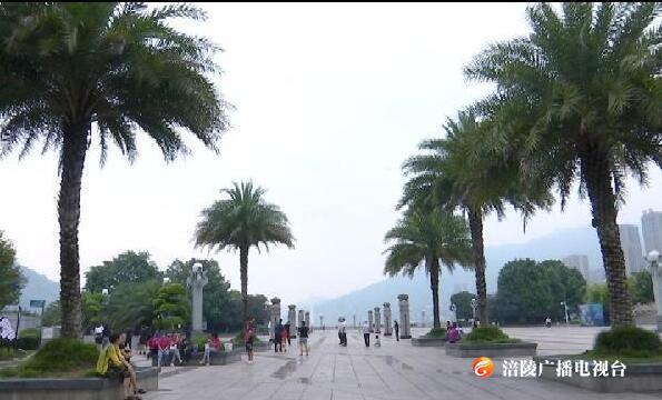 ​持续阴雨天气结束   初秋暖阳伴你过周末