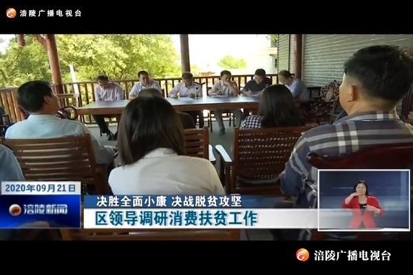 【决胜全面小康 决战脱贫攻坚】区领导调研消费扶贫工作