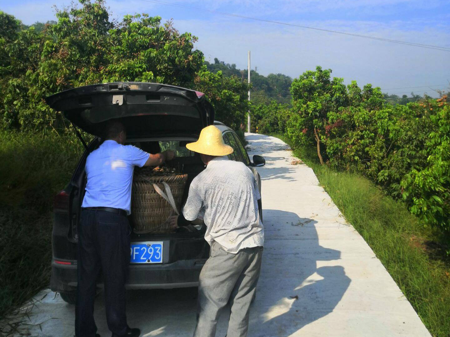 涪陵：建设“四好农村路” 助力脱贫攻坚和乡村振兴