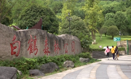 ​公园过节成“新宠” 漫游畅享慢生活