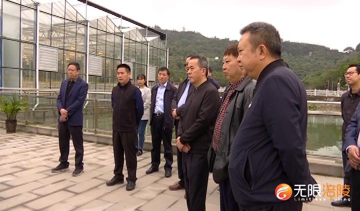 永川区政府考察组来我区考察榨菜产业发展情况