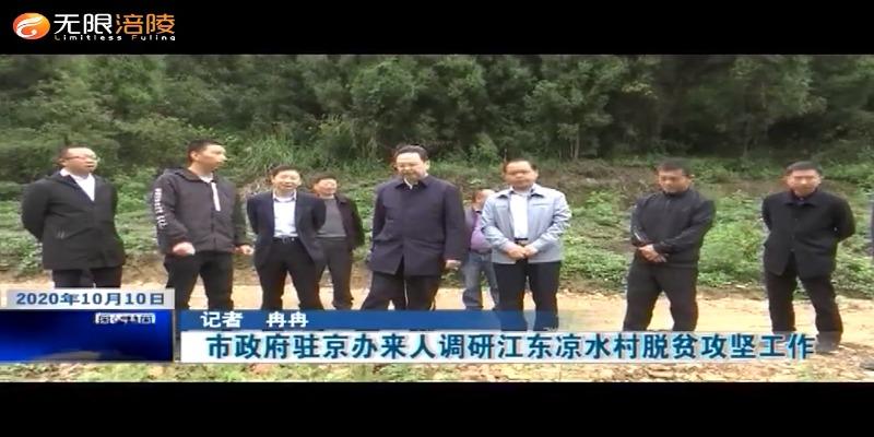市政府驻京办来人调研江东凉水村脱贫攻坚工作