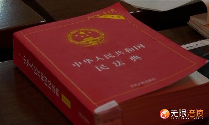 《民法典》宣讲进村社