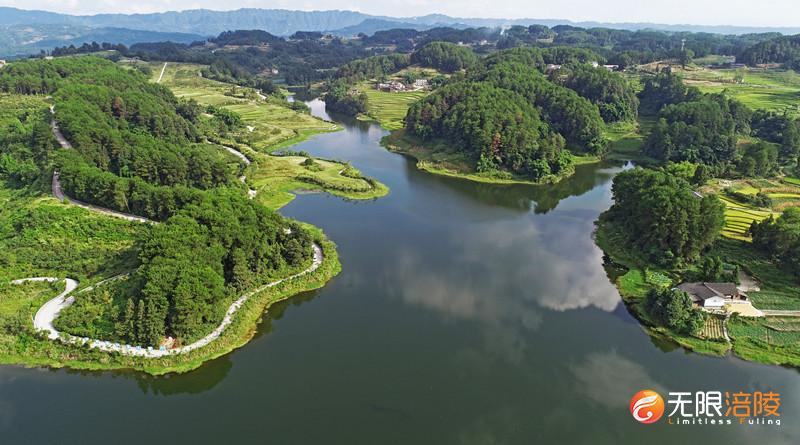 喜报！全市区县“双晒”第二季，涪陵区获最佳营销奖！