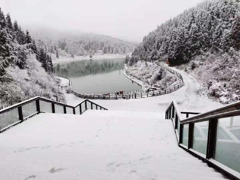 涪陵：美翻了！武陵山森林公园昨夜今晨再降雪