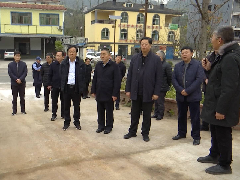 河南省人大常委会党组副书记 副主任李文慧来涪考察