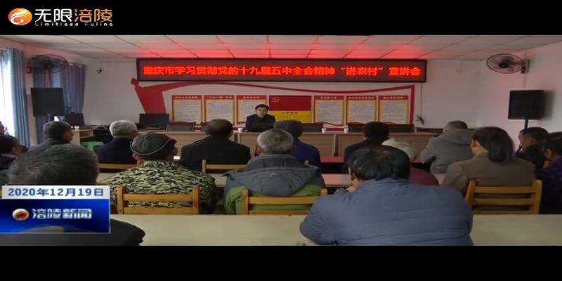 【学习贯彻十九届五中全会精神】市委农业农村工委宣讲分队来涪宣讲十九届五中全会精神