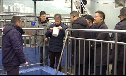 涪陵区人大常委会调研水污染防治工作