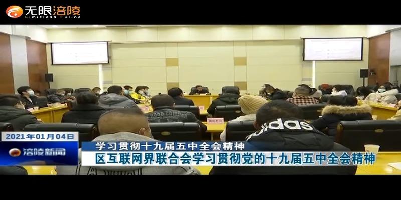 【学习贯彻十九届五中全会精神】区互联网界联合会学习贯彻党的十九届五中全会精神