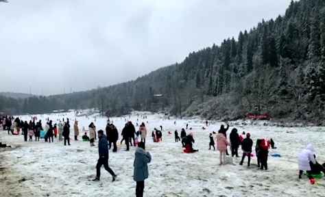 滑雪撬打雪仗 市民乐享冰雪世界