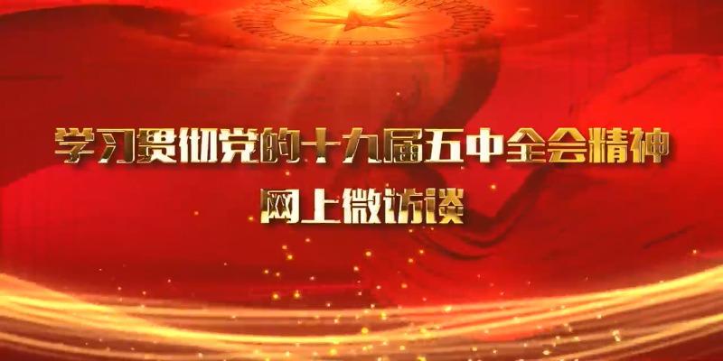 【学习贯彻党的十九届五中全会精神】网上微访谈——区农委