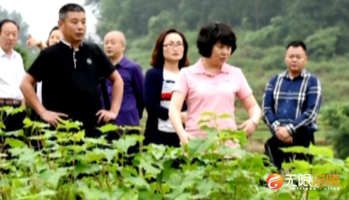 2020年度“感动重庆十大人物”出炉 涪陵扶贫干部胡华平上榜