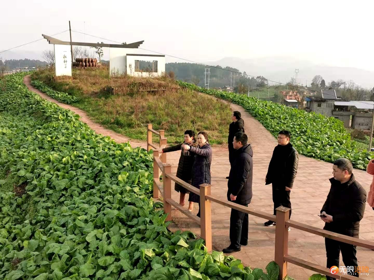 徐瑛现场推进北山片区旅游开发工作