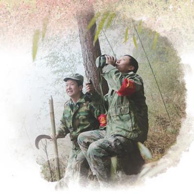 他们，守护这座山水城（美丽中国·关注林长制②）