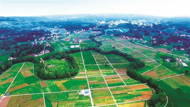 涪陵：生态优先出实招 绿色发展焕新颜
