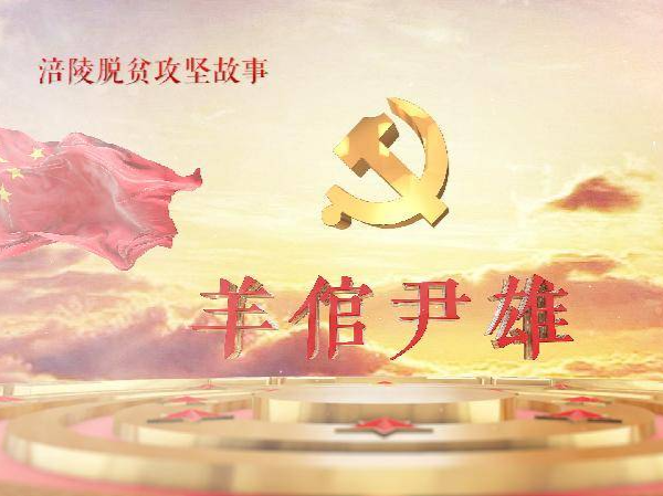 【节目预告】“羊倌”尹雄走出脱贫致富路
