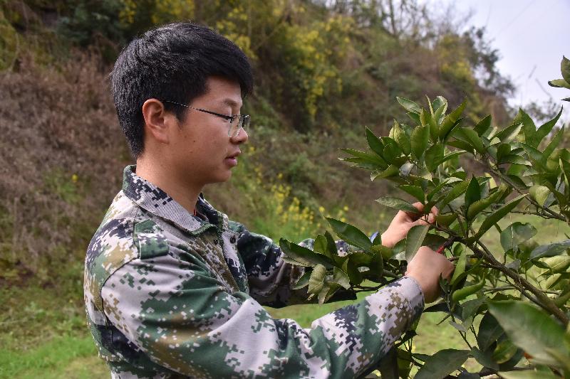 抢抓节令忙生产  新妙十字村果园春管正当时