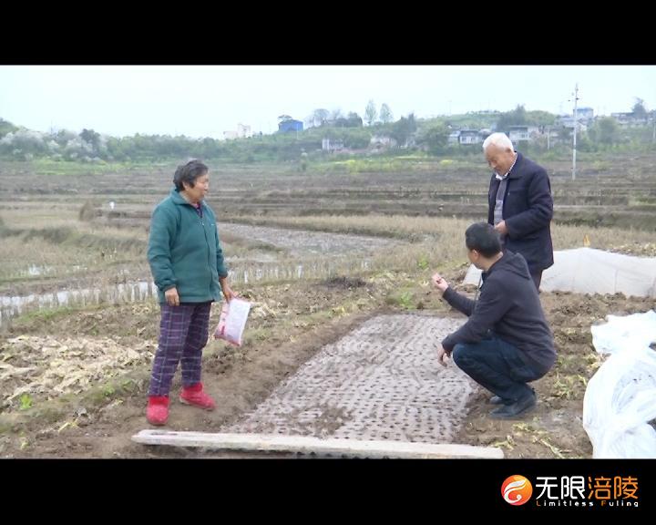农技培训送到家   充足农资保春耕