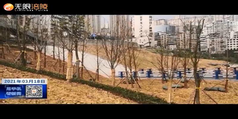 乌江大桥西桥头立交景观绿化月底基本完成