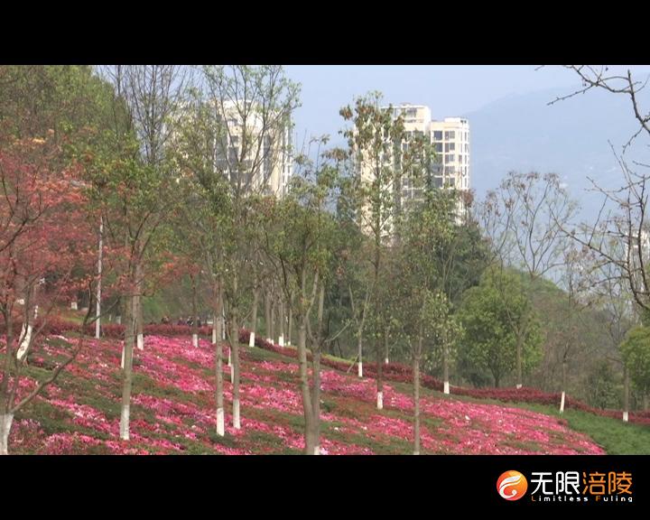 ​“春分”迎春雷 降温降雨来袭