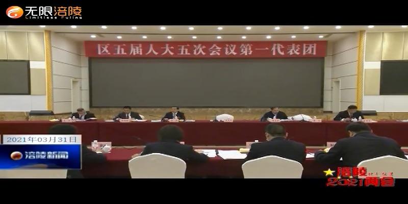 【2021涪陵两会特别报道】区人大代表分团审议政府工作报告等