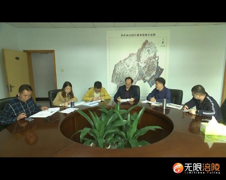 【创森林城市 建宜居涪陵】专家团队助力涪陵区森林城市创建