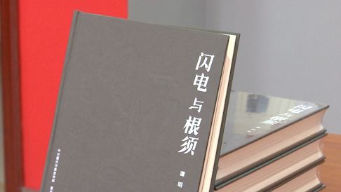 谭明诗集《闪电与根须》首发
