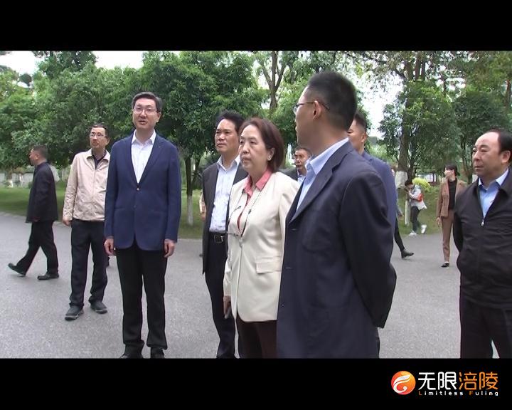 市人大常委会副主任陈元春来涪陵区调研