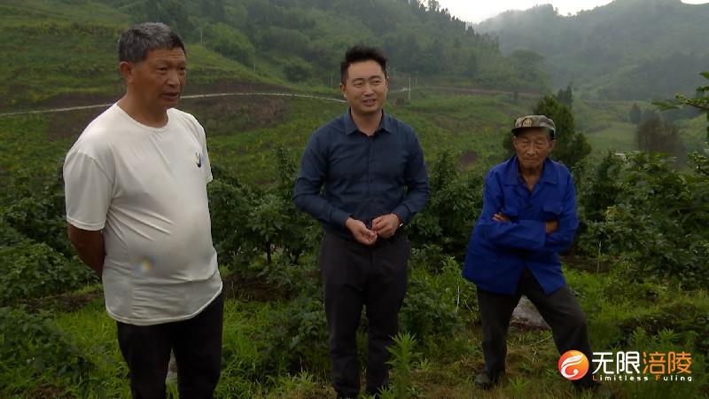 杨东：人民子弟兵 退役不褪色