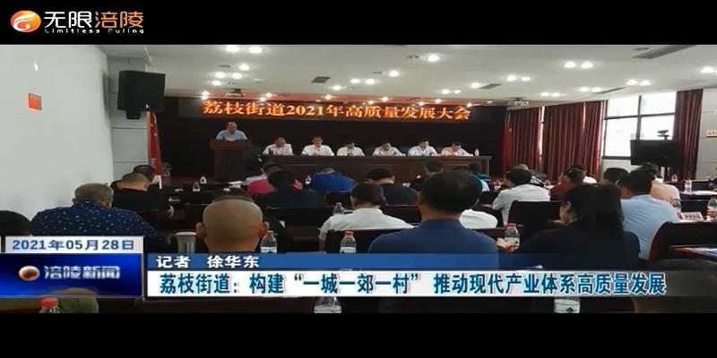​荔枝街道：构建“一城一郊一村” 推动现代产业体系高质量发展