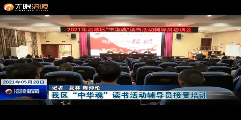 我区“中华魂”读书活动辅导员接受培训