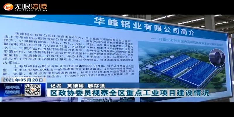​区政协委员视察全区重点工业项目建设情况
