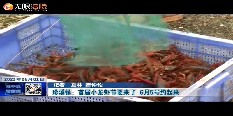 ​珍溪镇：首届小龙虾节要来了  6月5号约起来
