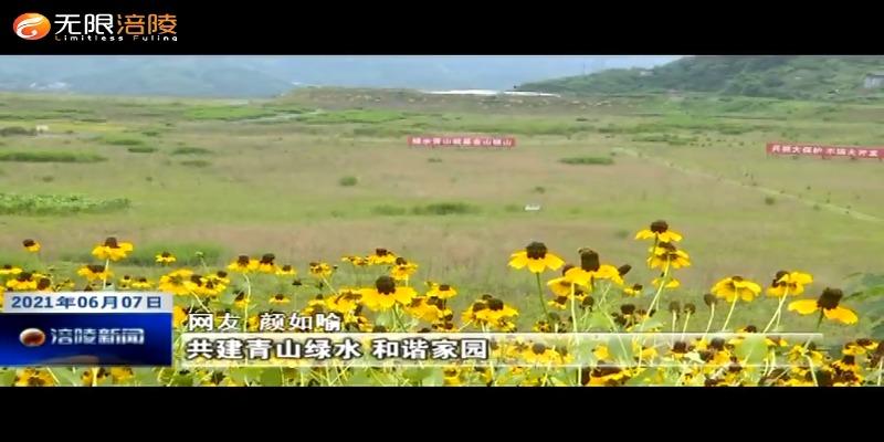 我区开展“人与自然和谐共生”主题系列活动