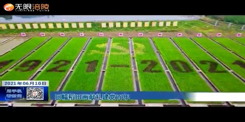 ​巨幅稻田画献礼建党百年