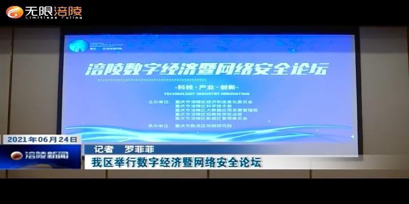 ​我区举行数字经济暨网络安全论坛