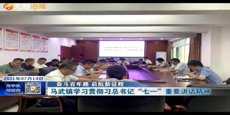 ​【奋斗百年路 启航新征程】马武镇学习贯彻习总书记“七一”重要讲话精神