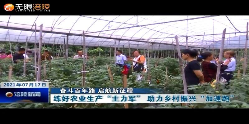 【奋斗百年路 启航新征程】练好农业生产“主力军” 助力乡村振兴“加速跑”