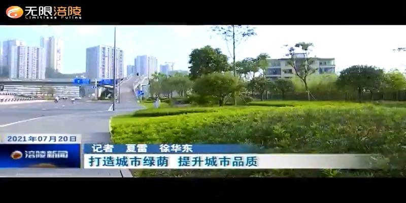 ​【我为群众办实事】打造城市绿荫 提升城市品质