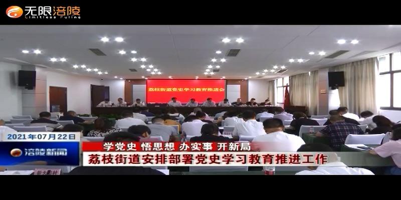 【学党史 悟思想 办实事 开新局】荔枝街道安排部署党史学习教育推进工作