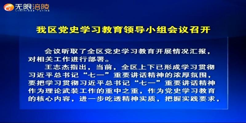 ​我区党史学习教育领导小组会议召开