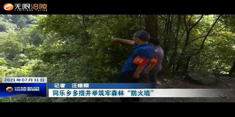 ​同乐乡多措并举筑牢森林“防火墙”