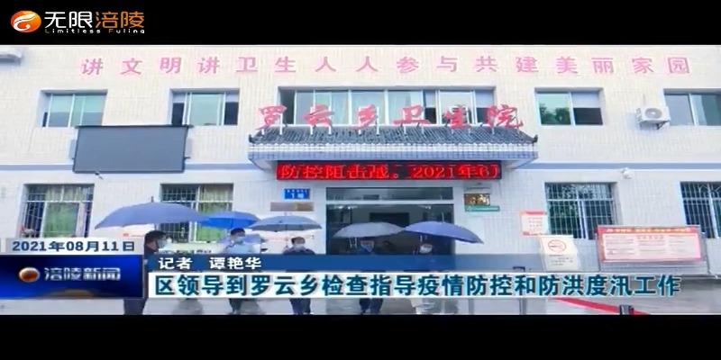 区领导到罗云乡检查指导疫情防控和防洪度汛工作