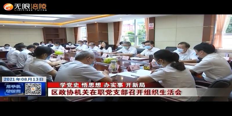 ​区政协机关在职党支部召开组织生活会