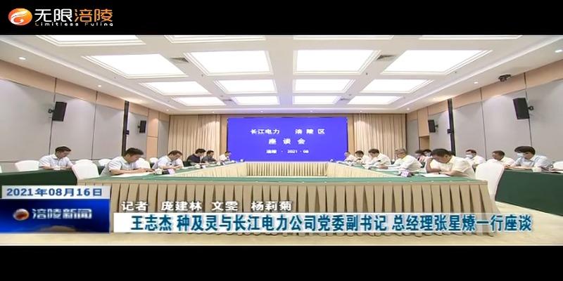 ​王志杰 种及灵与长江电力公司党委副书记 总经理张星燎一行座谈