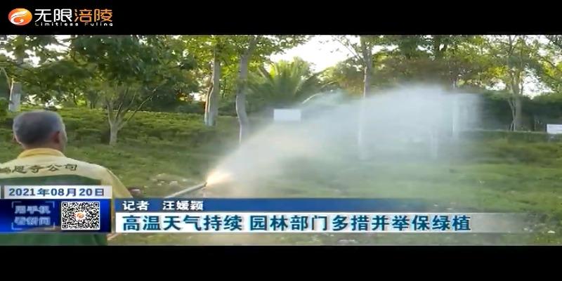 高温天气持续 园林部门多措并举保绿植