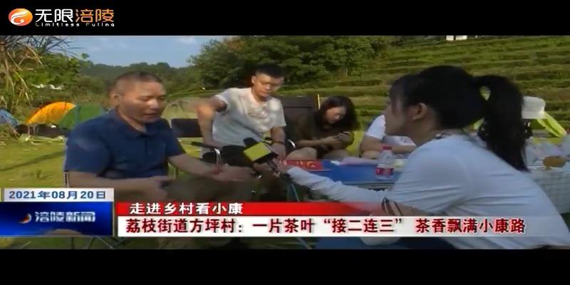 【走进乡村看小康】荔枝街道方坪村：一片茶叶“接二连三” 茶香飘满小康路