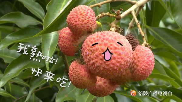 是什么让人垂涎欲滴？