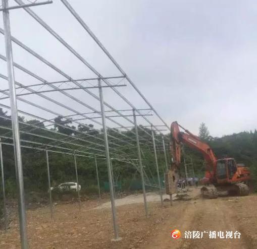 荔枝街道协合村：1000平方米违章建筑拆了！